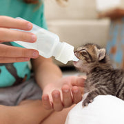 Nunbell Milk Bottle Pets